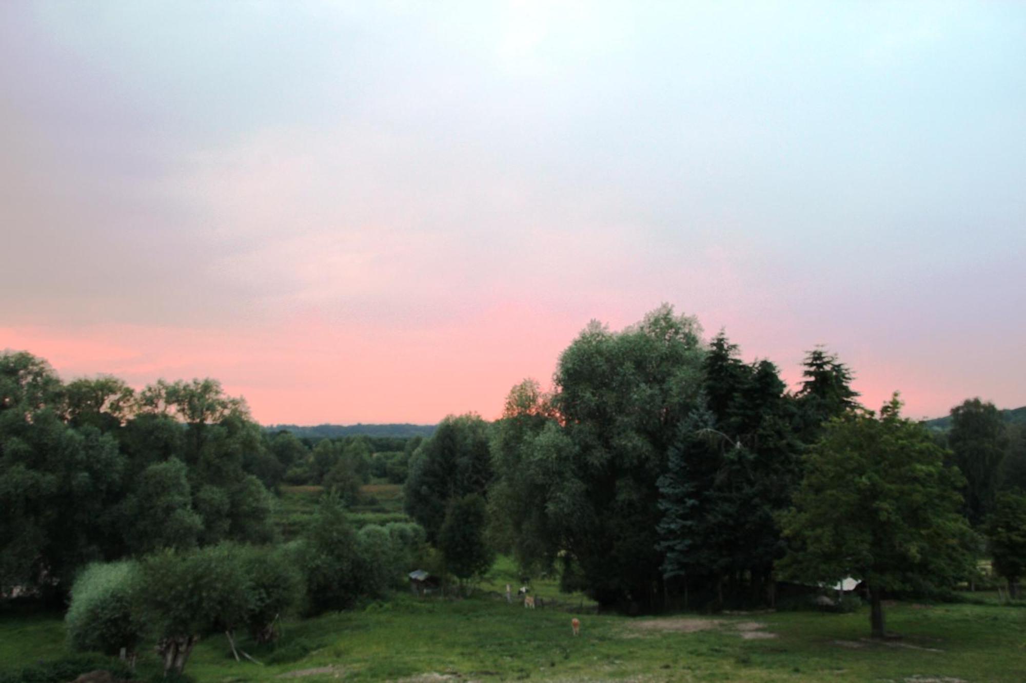 Hotel Thormaehlen Bliestorf Екстер'єр фото